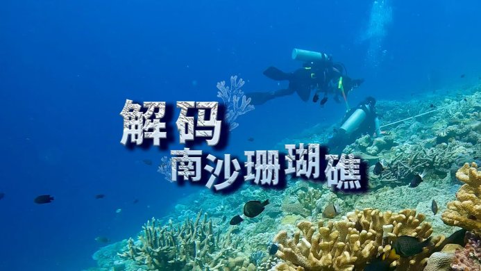 解码南沙珊瑚礁_fororder_WechatIMG1406